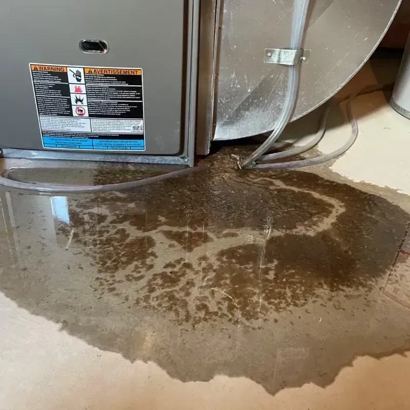 Appliance Leak Cleanup in El Dorado, AR